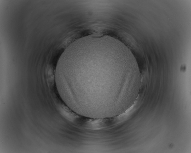 X0000100850186200807070942