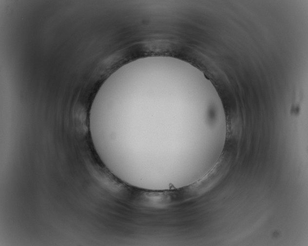 X0000100850187200807070942