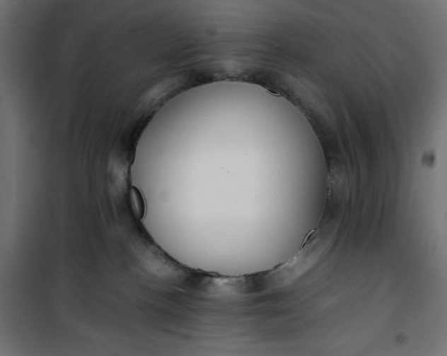 X0000100850188200807070942