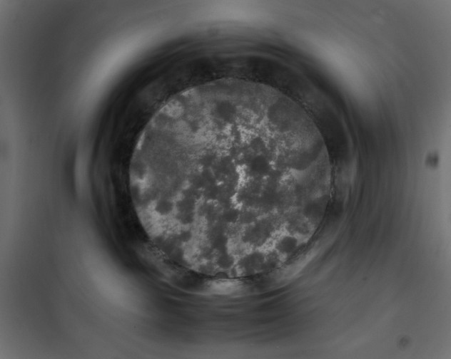 X0000100850189200807070942