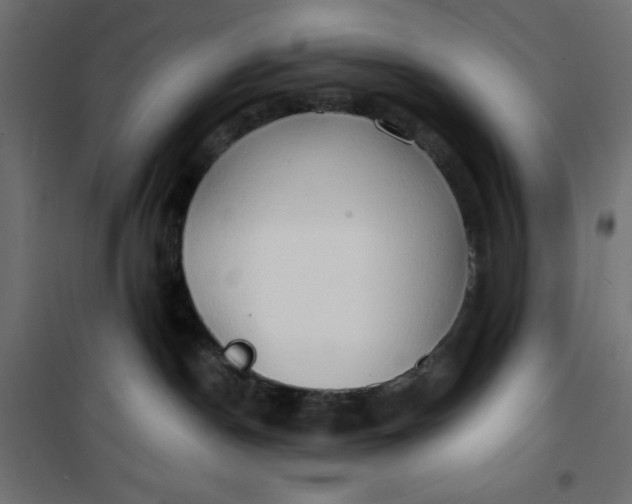 X0000100850190200807070942