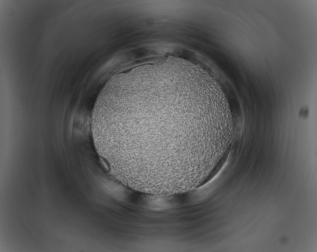 X0000100850191200807070942