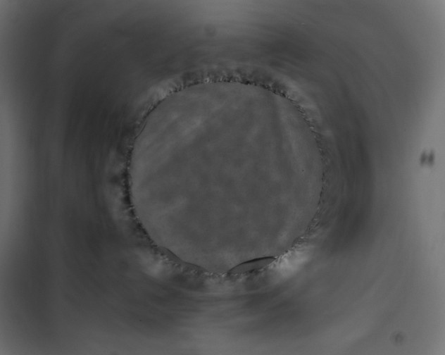 X0000100850192200807070942