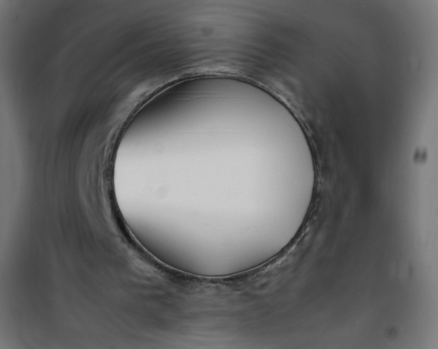 X0000100850193200807070941