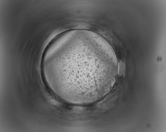 X0000100850195200807070941