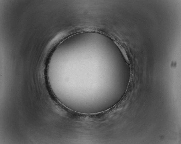 X0000100850197200807070941