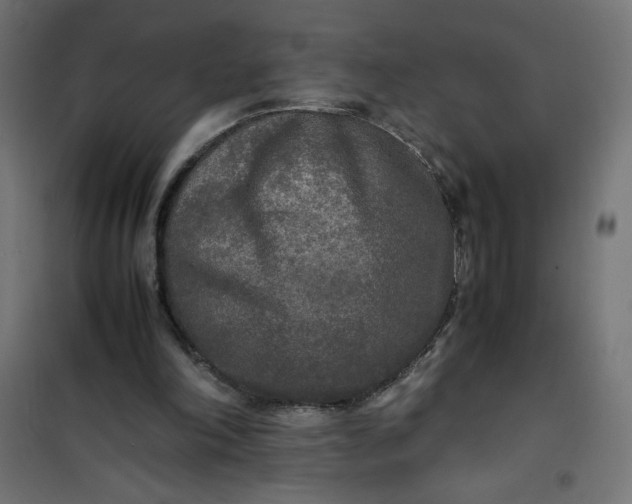 X0000100850198200807070941