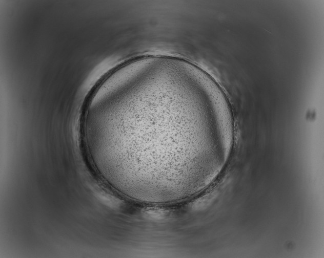 X0000100850199200807070941