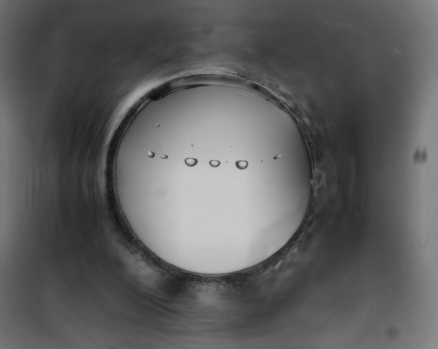 X0000100850200200807070941