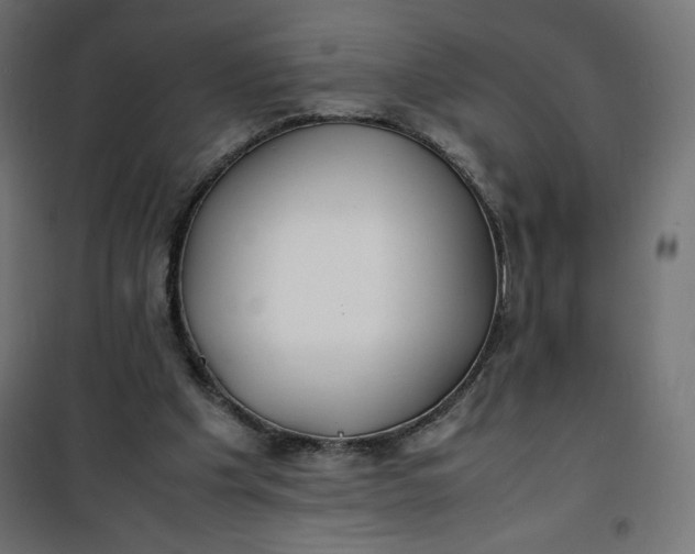 X0000100850201200807070941