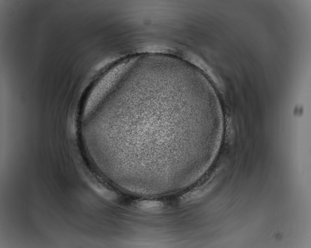 X0000100850203200807070941