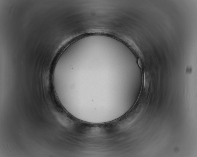 X0000100850204200807070941