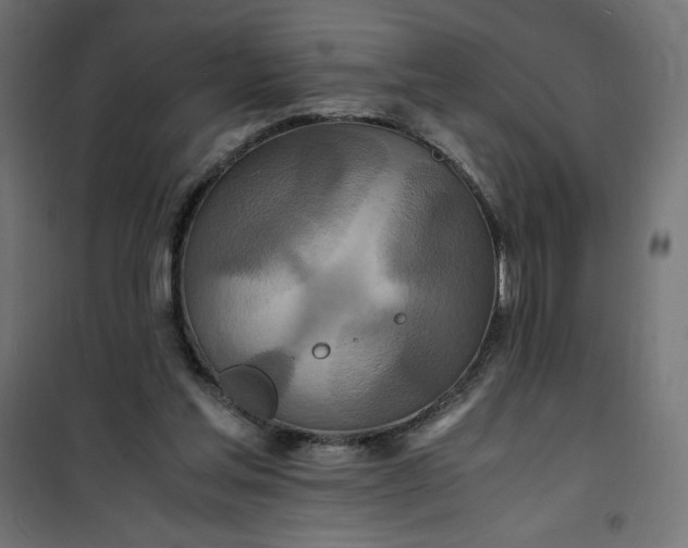 X0000100850205200807070941