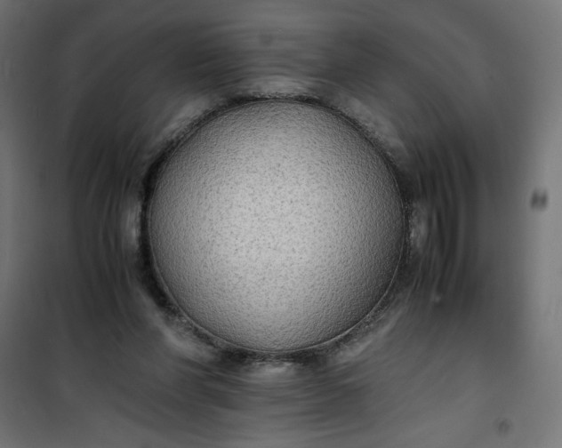 X0000100850206200807070941