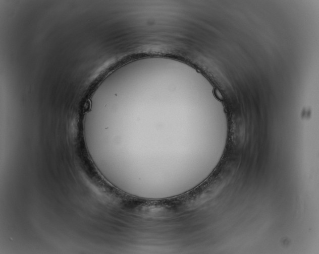 X0000100850208200807070941