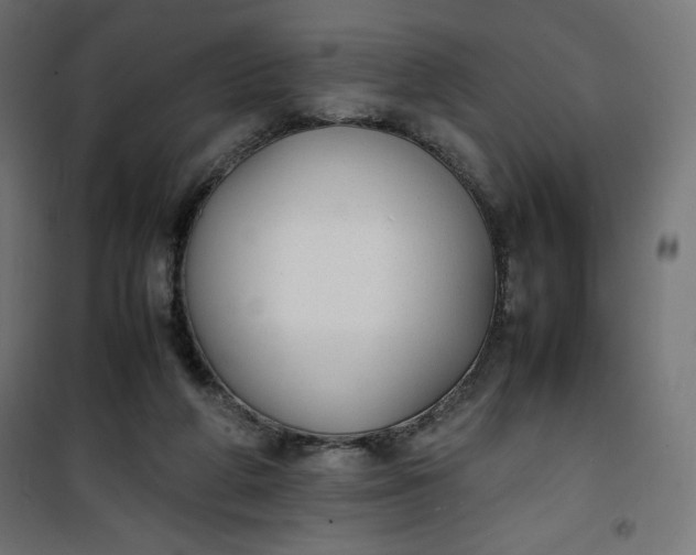 X0000100850210200807070941