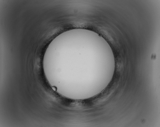 X0000100850211200807070941