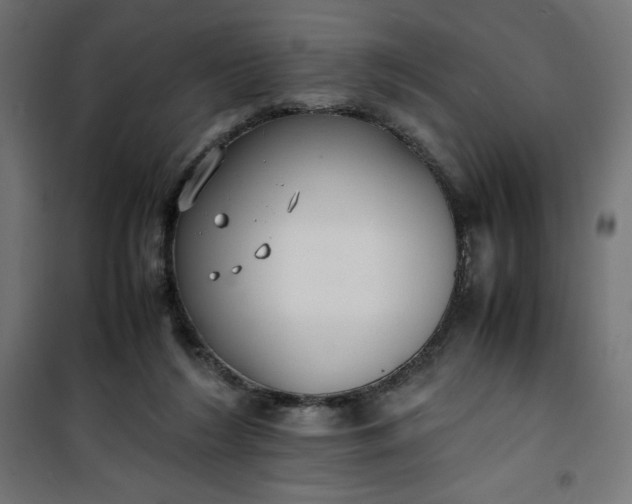 X0000100850212200807070941