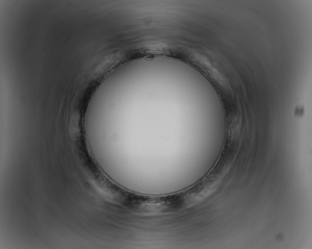 X0000100850213200807070941