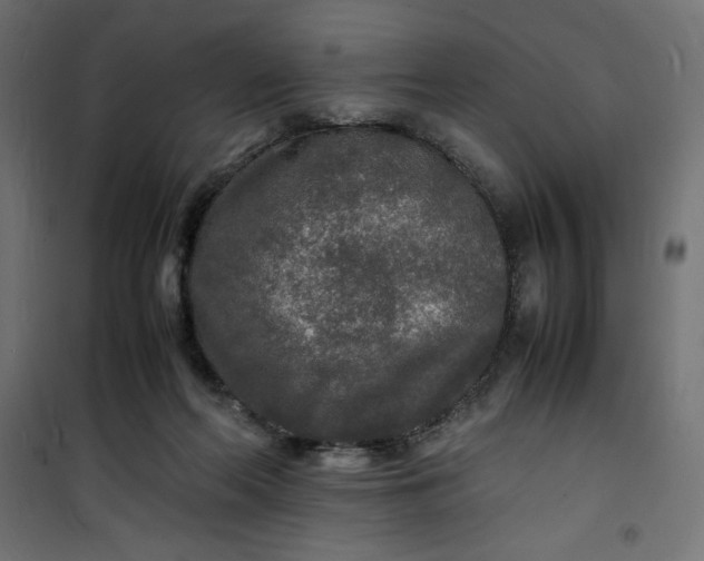 X0000100850214200807070941