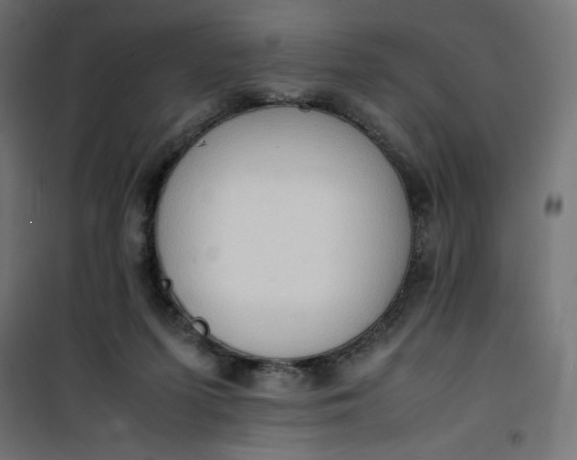 X0000100850215200807070941