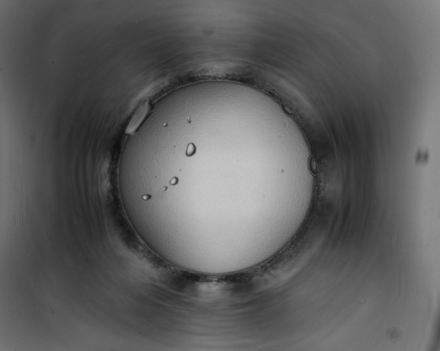 X0000100850216200807070941