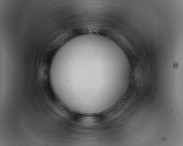 X0000100850218200807070941