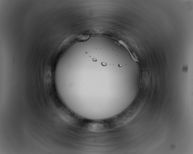 X0000100850220200807070941