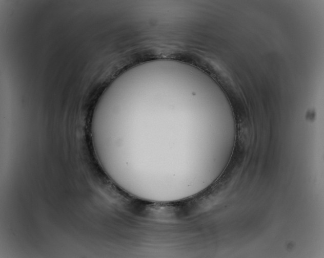 X0000100850221200807070941