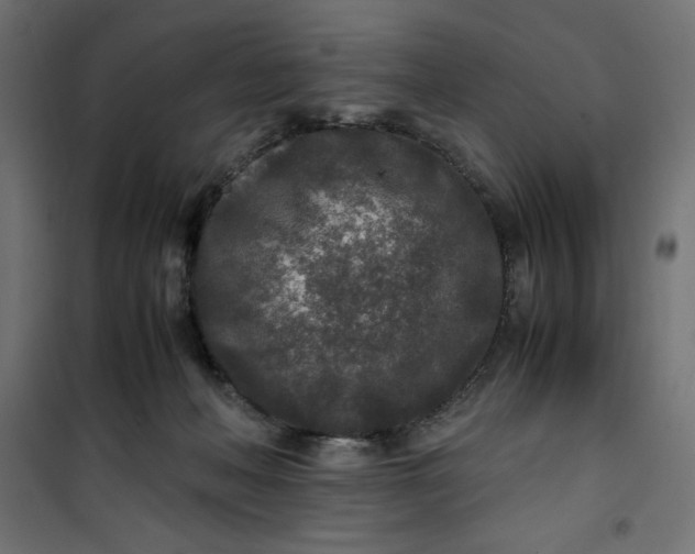 X0000100850222200807070941