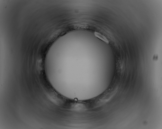 X0000100850224200807070941