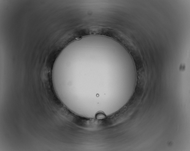 X0000100850225200807070941