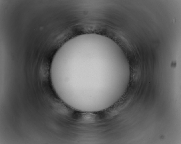 X0000100850226200807070941