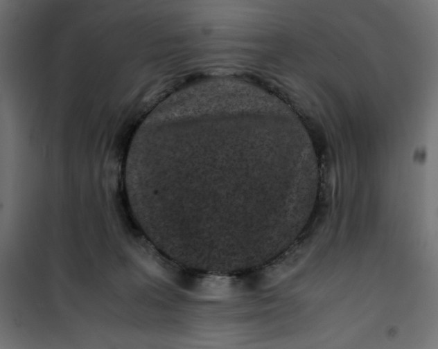 X0000100850227200807070941