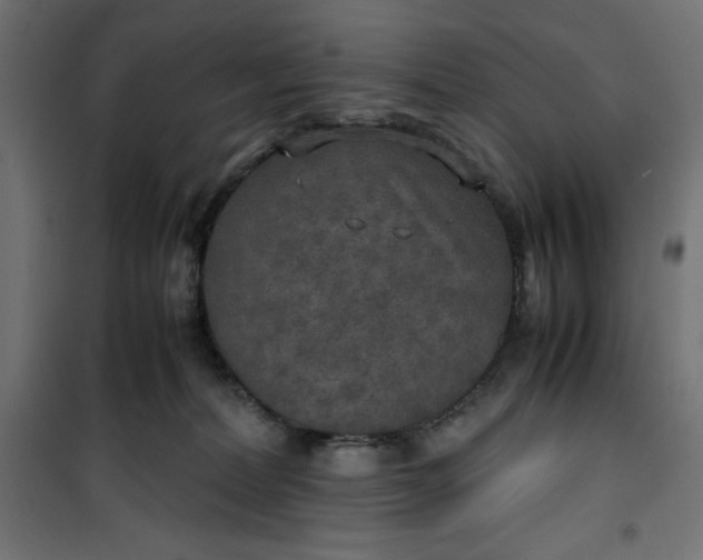 X0000100850228200807070941