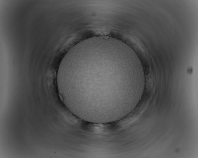 X0000100850229200807070941