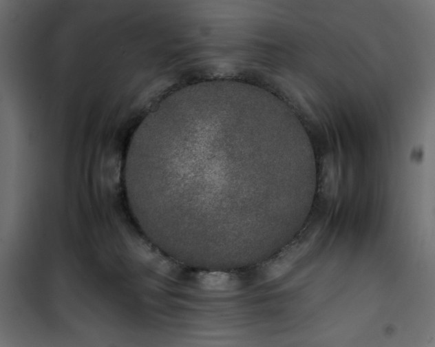 X0000100850230200807070941