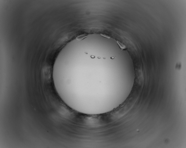 X0000100850232200807070941