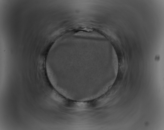 X0000100850233200807070941