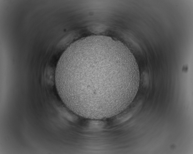 X0000100850234200807070941