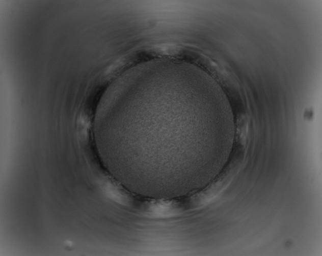 X0000100850235200807070941