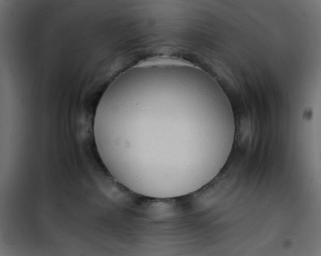 X0000100850236200807070941