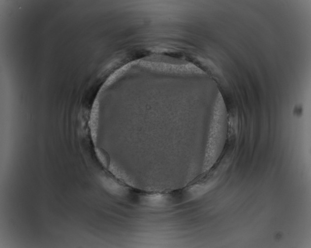 X0000100850237200807070941