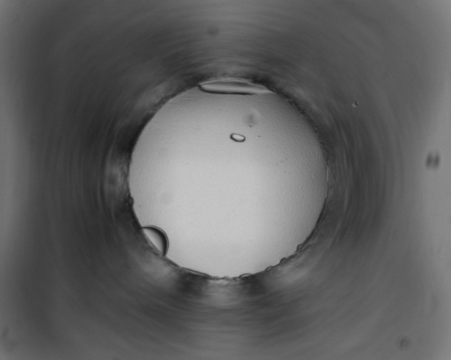 X0000100850240200807070941