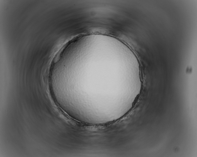 X0000100850241200807070940