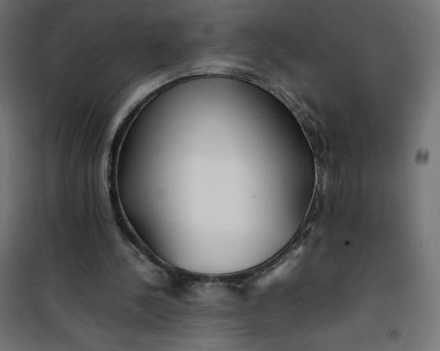 X0000100850244200807070940