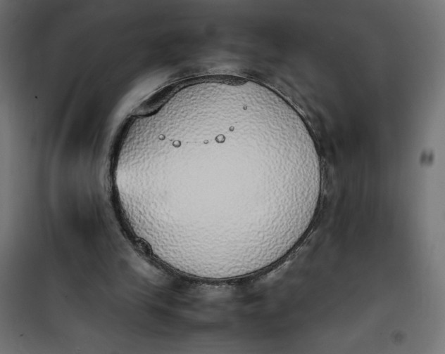 X0000100850245200807070940