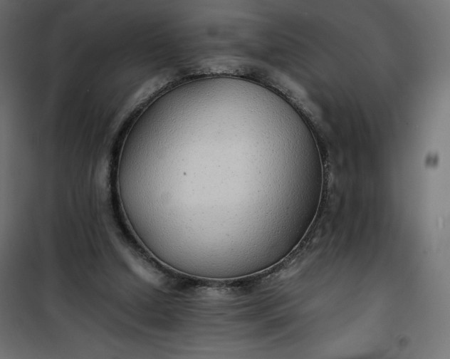 X0000100850250200807070940