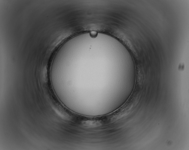 X0000100850251200807070940