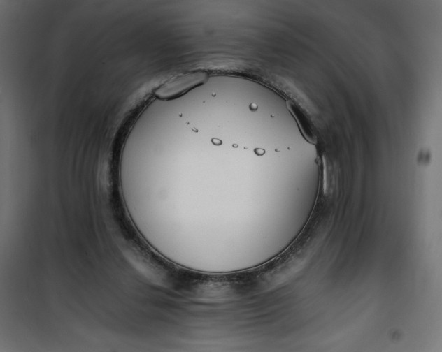 X0000100850252200807070940